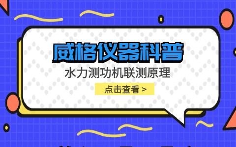 威格仪器-水力测功机联测原理插图