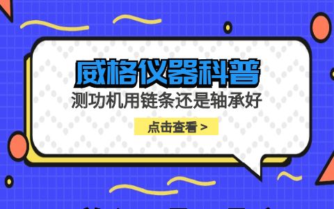 威格仪器-测功机用链条还是轴承好插图
