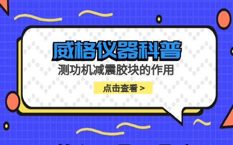 威格仪器-测功机减震胶块的作用插图