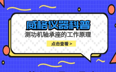威格仪器-测功机轴承座的工作原理插图